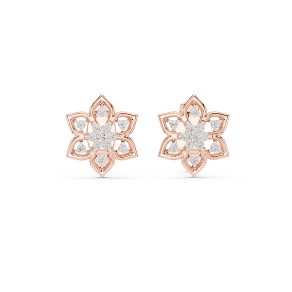 Resounding Lab grown diamond Earrings style