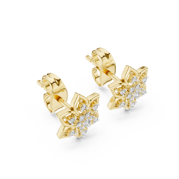 Resounding Lab grown diamond Earrings style