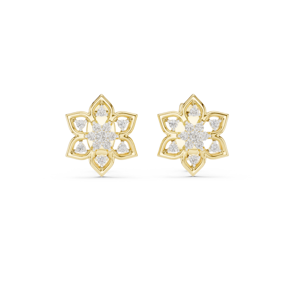 Resounding Lab grown diamond Earrings style