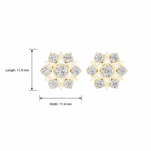 Round Star Frame Cluster Lab Grown Stud Earrings