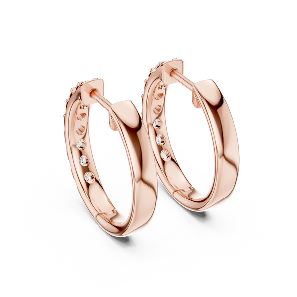 Sparkles Lab grown diamond Earrings style