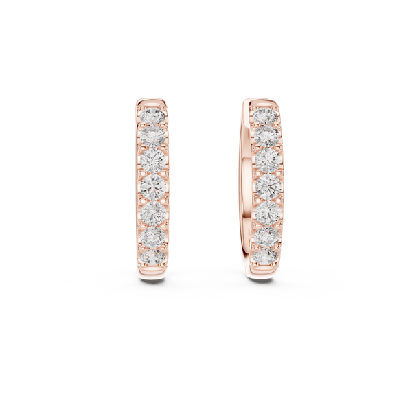 Sparkles Lab grown diamond Earrings style