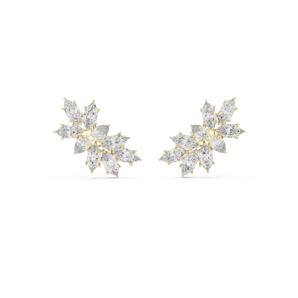 Immaculately Lab grown diamond Earrings piece