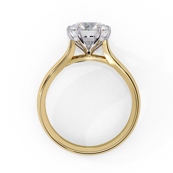 Dazzling Round Cut Diamond Ring