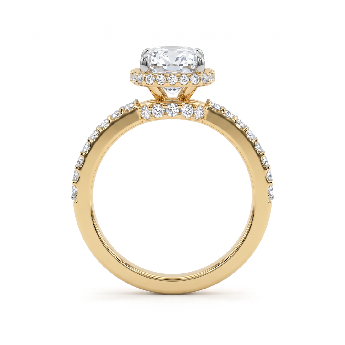 The Elongated Cushion Halo Solitaire with Pavé Band Diamond Ring