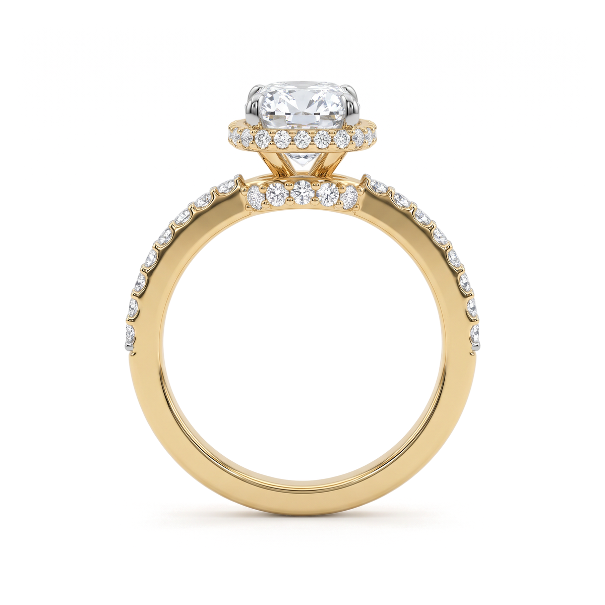 The Elongated Cushion Halo Solitaire with Pavé Band Diamond Ring