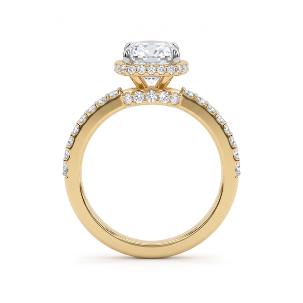 The Elongated Cushion Halo Solitaire with Pavé Band Diamond Ring