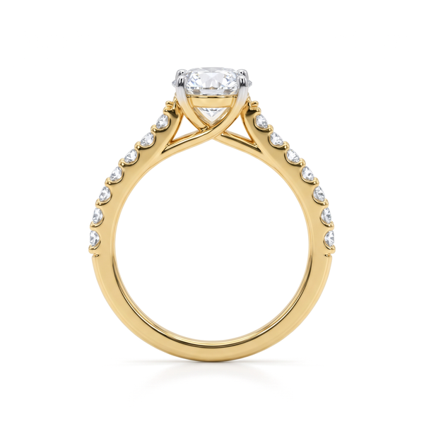 Pavé Petite Cathedral Round Solitaire Ring