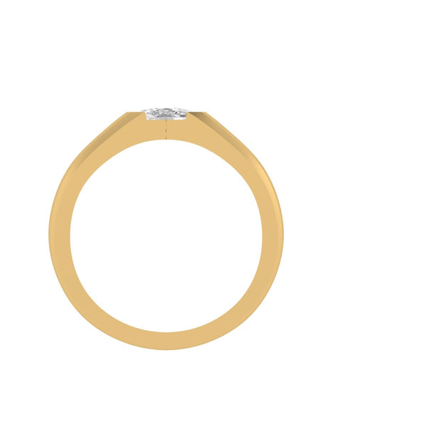 The Sentinel Wide Band